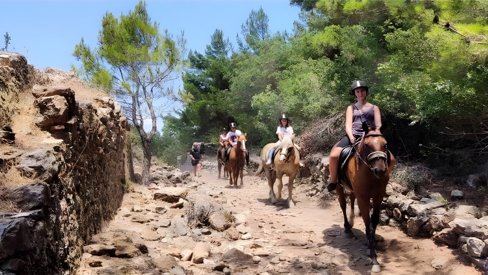 Horse Riding